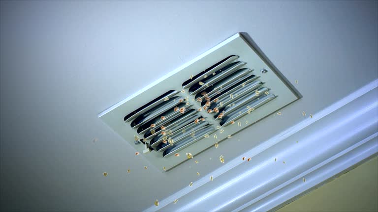 Best Air Vent Cleaning Services  in Bling, AR