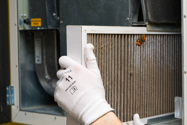 Best Emergency Air Duct Cleaning  in Bling, AR